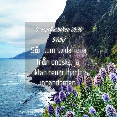 Picture 04 - Ordspråksboken 20:30 SV1917 - Sår som svida rena från ondska, ja, tuktan - Bible Verse Picture