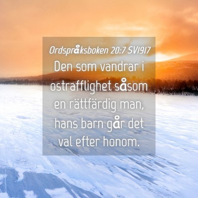 Picture 04 - Ordspråksboken 20:7 SV1917 - Den som vandrar i ostrafflighet såsom en - Bible Verse Picture