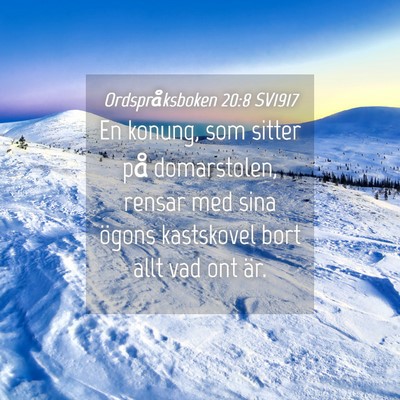 Picture 04 - Ordspråksboken 20:8 SV1917 - En konung, som sitter på domarstolen, rensar med - Bible Verse Picture