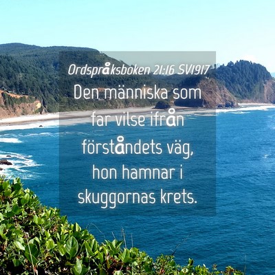 Picture 04 - Ordspråksboken 21:16 SV1917 - Den människa som far vilse ifrån förståndets - Bible Verse Picture
