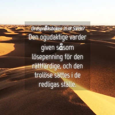 Picture 04 - Ordspråksboken 21:18 SV1917 - Den ogudaktige varder given såsom lösepenning - Bible Verse Picture