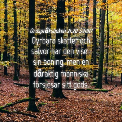Picture 04 - Ordspråksboken 21:20 SV1917 - Dyrbara skatter och salvor har den vise i sin - Bible Verse Picture