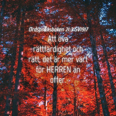 Picture 04 - Ordspråksboken 21:3 SV1917 - Att öva rättfärdighet och rätt, det är mer - Bible Verse Picture