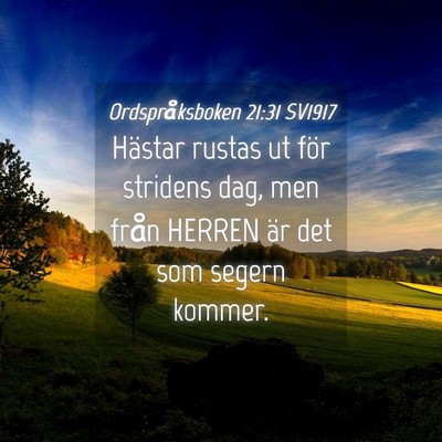 Picture 04 - Ordspråksboken 21:31 SV1917 - Hästar rustas ut för stridens dag, men från - Bible Verse Picture