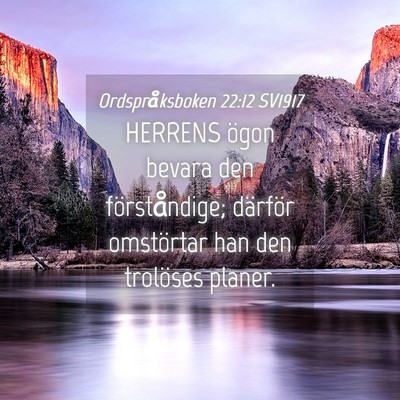 Picture 04 - Ordspråksboken 22:12 SV1917 - HERRENS ögon bevara den förståndige; därför - Bible Verse Picture