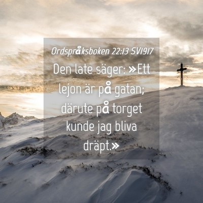Picture 04 - Ordspråksboken 22:13 SV1917 - Den late säger: »Ett lejon är på gatan; - Bible Verse Picture