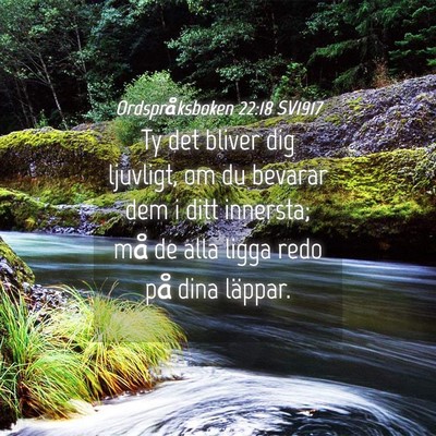 Picture 04 - Ordspråksboken 22:18 SV1917 - Ty det bliver dig ljuvligt, om du bevarar dem i - Bible Verse Picture