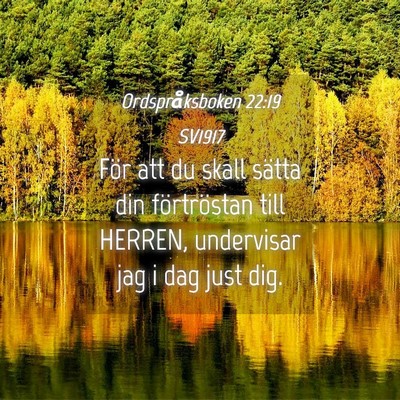 Picture 04 - Ordspråksboken 22:19 SV1917 - För att du skall sätta din förtröstan till - Bible Verse Picture