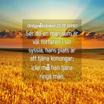 Picture 04 - Ordspråksboken 22:29 SV1917 - Ser du en man som är väl förfaren i sin - Bible Verse Picture