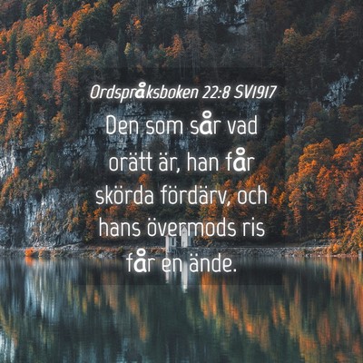 Picture 04 - Ordspråksboken 22:8 SV1917 - Den som sår vad orätt är, han får skörda - Bible Verse Picture