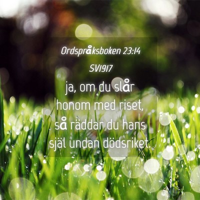 Picture 04 - Ordspråksboken 23:14 SV1917 - ja, om du slår honom med riset, så räddar du - Bible Verse Picture