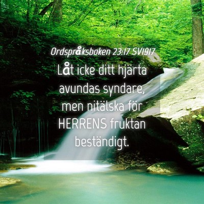 Picture 04 - Ordspråksboken 23:17 SV1917 - Låt icke ditt hjärta avundas syndare, men - Bible Verse Picture