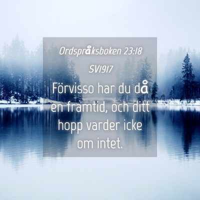 Picture 04 - Ordspråksboken 23:18 SV1917 - Förvisso har du då en framtid, och ditt hopp - Bible Verse Picture