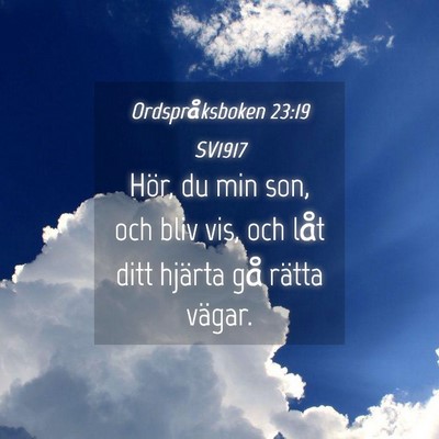 Picture 04 - Ordspråksboken 23:19 SV1917 - Hör, du min son, och bliv vis, och låt ditt - Bible Verse Picture