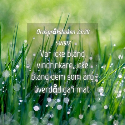Picture 04 - Ordspråksboken 23:20 SV1917 - Var icke bland vindrinkare, icke bland dem som - Bible Verse Picture