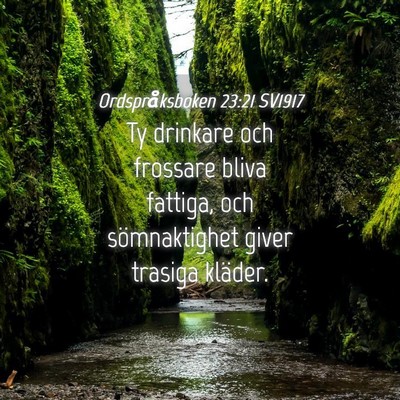 Picture 04 - Ordspråksboken 23:21 SV1917 - Ty drinkare och frossare bliva fattiga, och - Bible Verse Picture