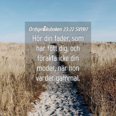 Picture 04 - Ordspråksboken 23:22 SV1917 - Hör din fader, som har fött dig, och förakta - Bible Verse Picture