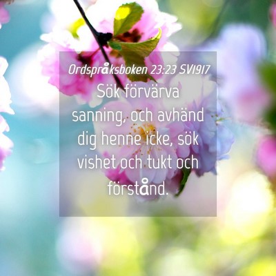 Picture 04 - Ordspråksboken 23:23 SV1917 - Sök förvärva sanning, och avhänd dig henne - Bible Verse Picture