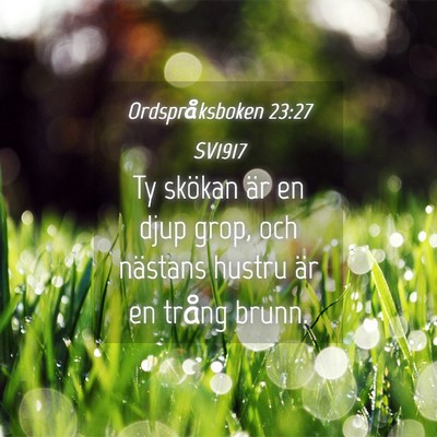 Picture 04 - Ordspråksboken 23:27 SV1917 - Ty skökan är en djup grop, och nästans hustru - Bible Verse Picture
