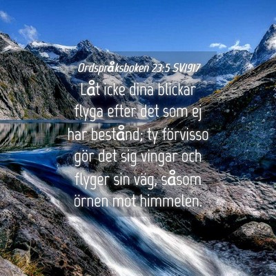 Picture 04 - Ordspråksboken 23:5 SV1917 - Låt icke dina blickar flyga efter det som ej har - Bible Verse Picture