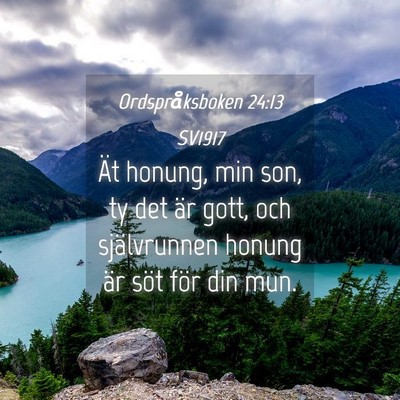 Picture 04 - Ordspråksboken 24:13 SV1917 - Ät honung, min son, ty det är gott, och - Bible Verse Picture