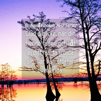 Picture 04 - Ordspråksboken 24:17 SV1917 - Gläd dig icke, när din fiende faller, och låt - Bible Verse Picture