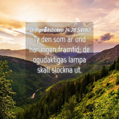 Picture 04 - Ordspråksboken 24:20 SV1917 - Ty den som är ond har ingen framtid; de - Bible Verse Picture