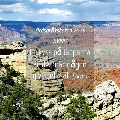 Picture 04 - Ordspråksboken 24:26 SV1917 - En kyss på läpparna är det, när någon giver - Bible Verse Picture