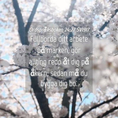 Picture 04 - Ordspråksboken 24:27 SV1917 - Fullborda ditt arbete på marken, gör allting - Bible Verse Picture