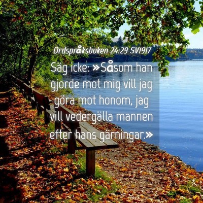 Picture 04 - Ordspråksboken 24:29 SV1917 - Säg icke: »Såsom han gjorde mot mig vill jag - Bible Verse Picture