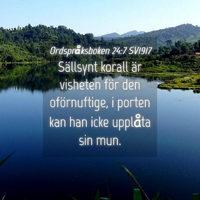 Picture 04 - Ordspråksboken 24:7 SV1917 - Sällsynt korall är visheten för den - Bible Verse Picture