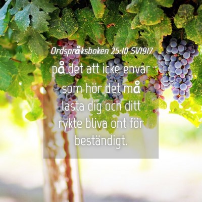 Picture 04 - Ordspråksboken 25:10 SV1917 - på det att icke envar som hör det må lasta dig - Bible Verse Picture