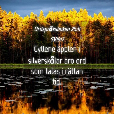 Picture 04 - Ordspråksboken 25:11 SV1917 - Gyllene äpplen i silverskålar äro ord som - Bible Verse Picture