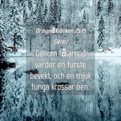 Picture 04 - Ordspråksboken 25:15 SV1917 - Genom tålamod varder en furste bevekt, och en - Bible Verse Picture
