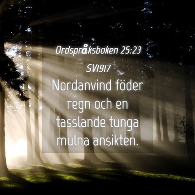 Picture 04 - Ordspråksboken 25:23 SV1917 - Nordanvind föder regn och en tasslande tunga - Bible Verse Picture