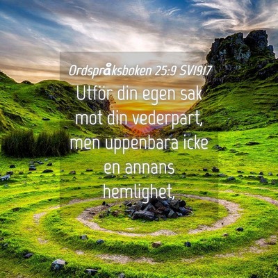 Picture 04 - Ordspråksboken 25:9 SV1917 - Utför din egen sak mot din vederpart, men - Bible Verse Picture