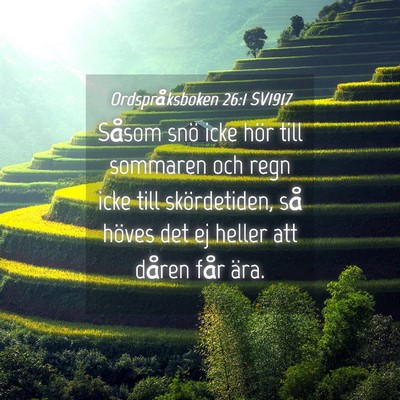 Picture 04 - Ordspråksboken 26:1 SV1917 - Såsom snö icke hör till sommaren och regn icke - Bible Verse Picture