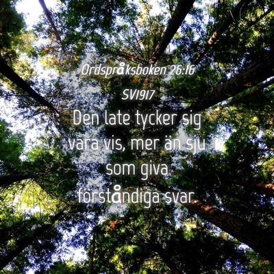 Picture 04 - Ordspråksboken 26:16 SV1917 - Den late tycker sig vara vis, mer än sju som - Bible Verse Picture