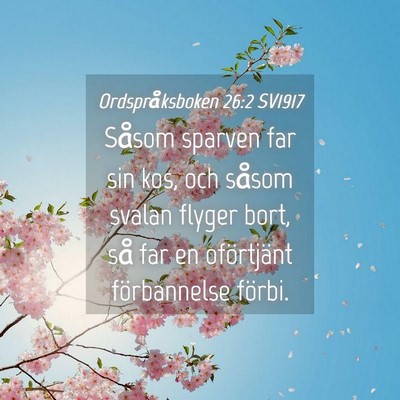 Picture 04 - Ordspråksboken 26:2 SV1917 - Såsom sparven far sin kos, och såsom svalan - Bible Verse Picture