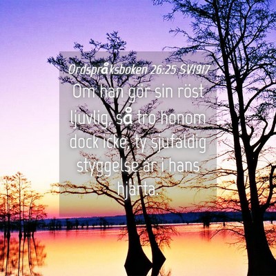 Picture 04 - Ordspråksboken 26:25 SV1917 - Om han gör sin röst ljuvlig, så tro honom dock - Bible Verse Picture