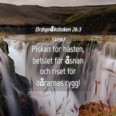 Picture 04 - Ordspråksboken 26:3 SV1917 - Piskan för hästen, betslet för åsnan och - Bible Verse Picture