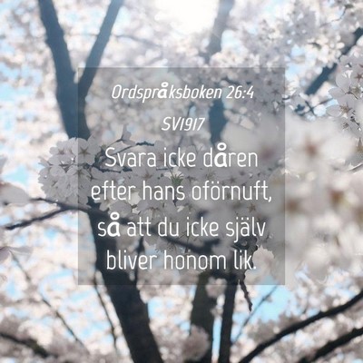 Picture 04 - Ordspråksboken 26:4 SV1917 - Svara icke dåren efter hans oförnuft, så att - Bible Verse Picture