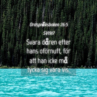 Picture 04 - Ordspråksboken 26:5 SV1917 - Svara dåren efter hans oförnuft, för att han - Bible Verse Picture