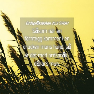 Picture 04 - Ordspråksboken 26:9 SV1917 - Såsom när en törntagg kommer i en drucken mans - Bible Verse Picture