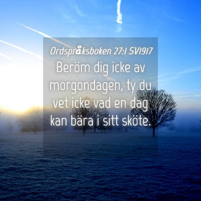 Picture 04 - Ordspråksboken 27:1 SV1917 - Beröm dig icke av morgondagen, ty du vet icke - Bible Verse Picture