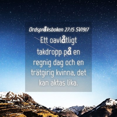 Picture 04 - Ordspråksboken 27:15 SV1917 - Ett oavlåtligt takdropp på en regnig dag och en - Bible Verse Picture