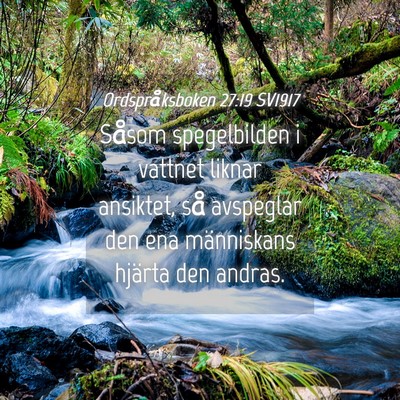 Picture 04 - Ordspråksboken 27:19 SV1917 - Såsom spegelbilden i vattnet liknar ansiktet, - Bible Verse Picture