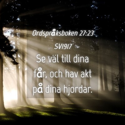 Picture 04 - Ordspråksboken 27:23 SV1917 - Se väl till dina får, och hav akt på dina - Bible Verse Picture