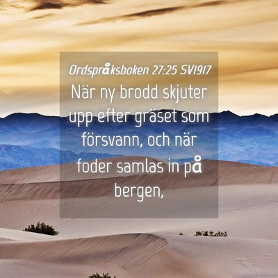 Picture 04 - Ordspråksboken 27:25 SV1917 - När ny brodd skjuter upp efter gräset som - Bible Verse Picture