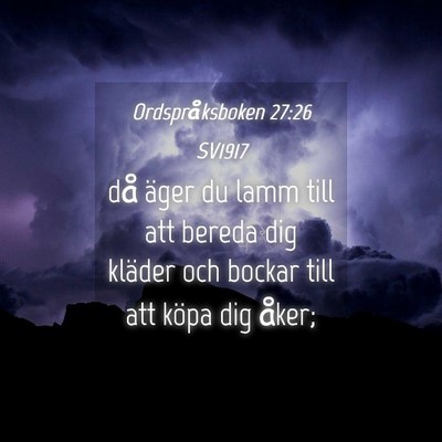 Picture 04 - Ordspråksboken 27:26 SV1917 - då äger du lamm till att bereda dig kläder och - Bible Verse Picture